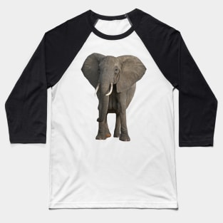 Elephant Baseball T-Shirt